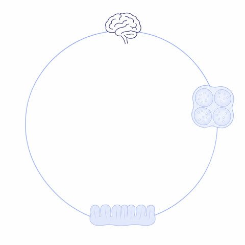 Cycle Ring