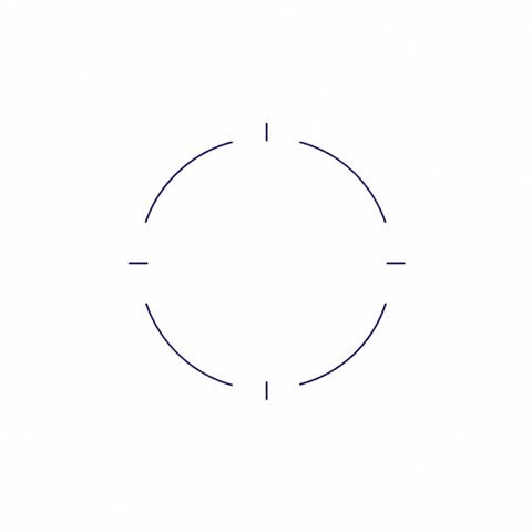 Focus Reticle