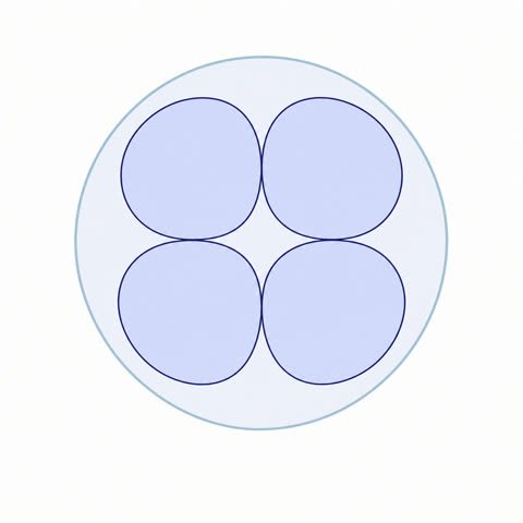 Four Cell