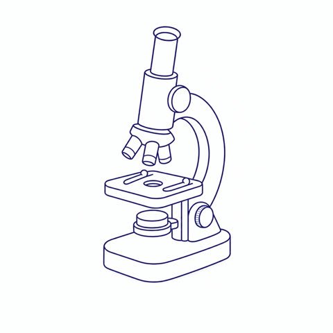 Microscope