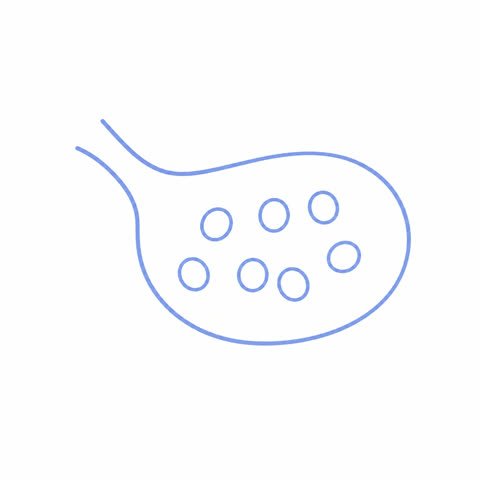 Ovary Glyph