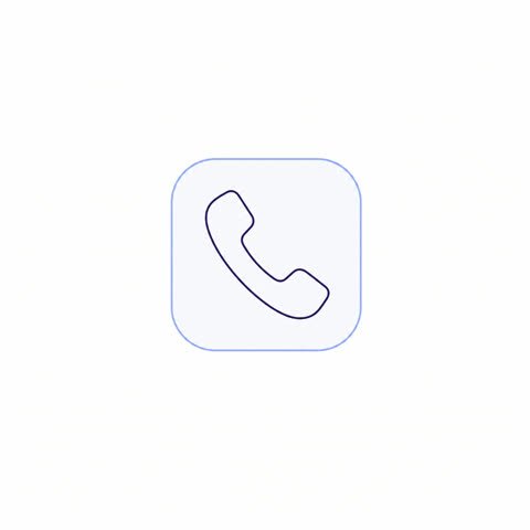Phone Chip