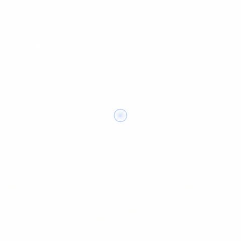 Single Egg