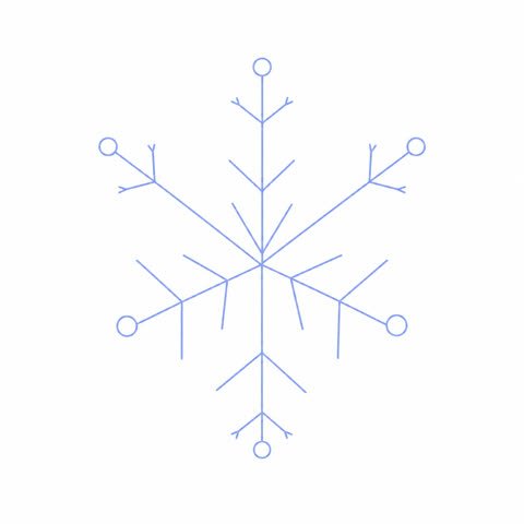 Snowflake Branch