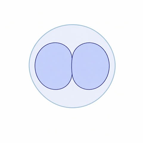 Two Cell