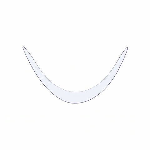 Uterine Lining