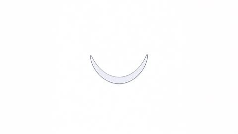 Uterine Lining