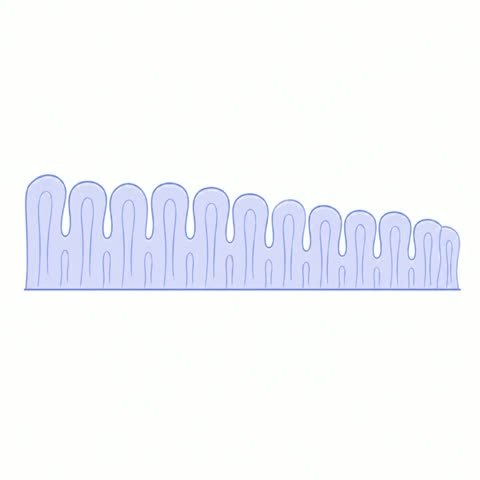 Uterine Lining Villi Retract -- Cycle Resets (FF to MF)