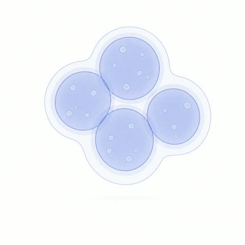 Cluster (variant 1)
