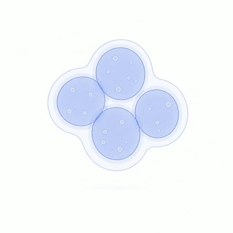 Cluster (variant 2)