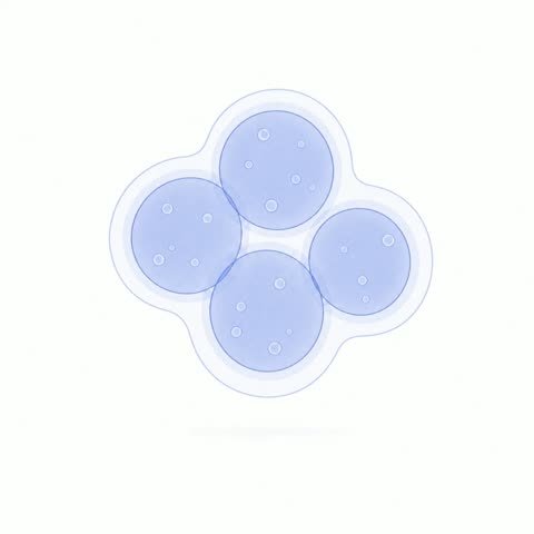 Cluster (variant 3)