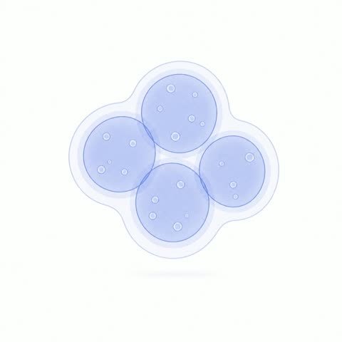 Cluster (variant 4)