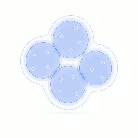 Cluster (variant 5)
