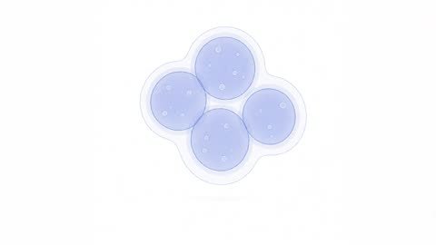 Cluster (variant 6)