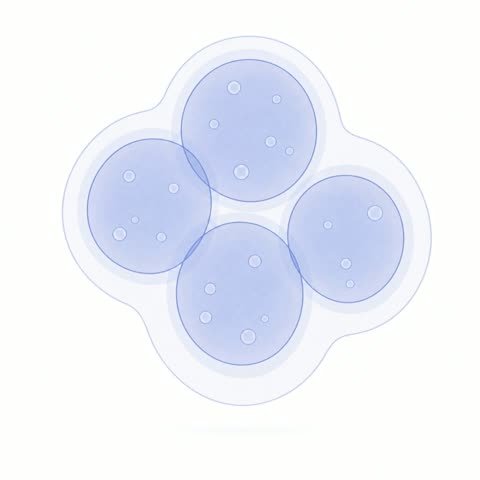 Cluster Swollen