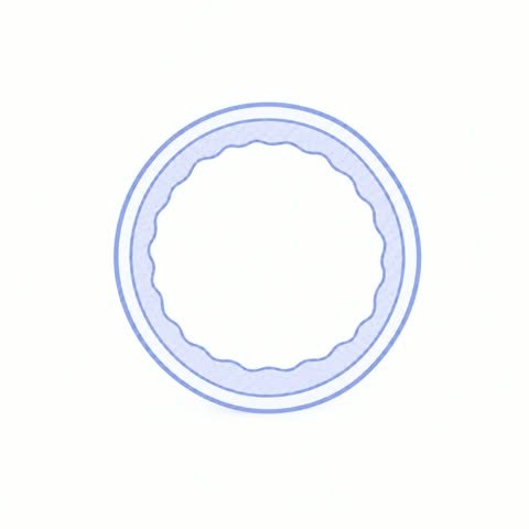 Empty Follicle Shell