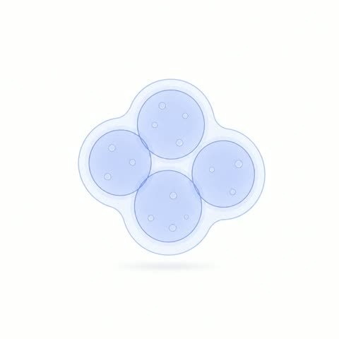 Follicle Cluster