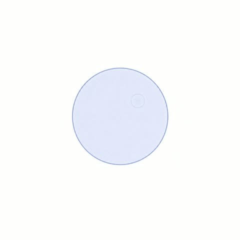 Follicle One Egg