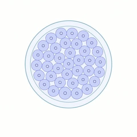 Cavitation