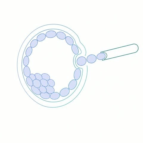 Troph Biopsy