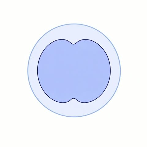 Two Cell