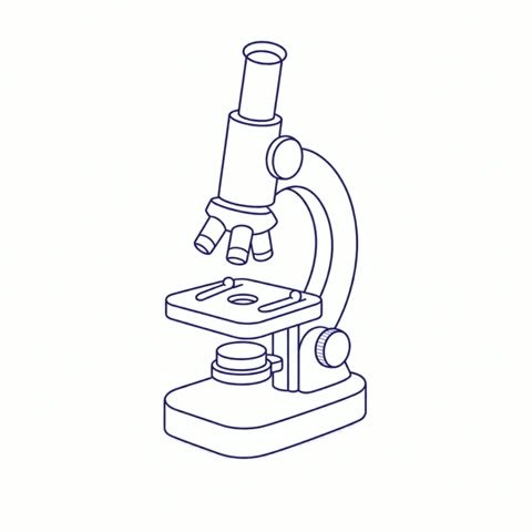 Microscope (variant 1)