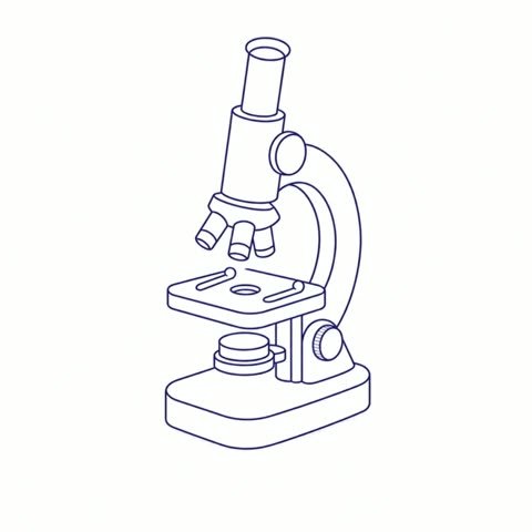 Microscope (variant 2)